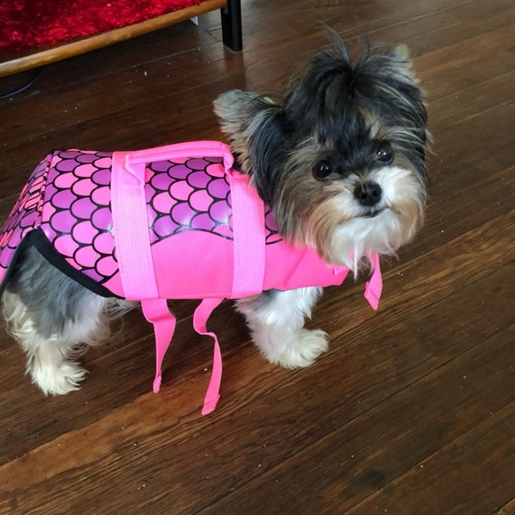 Mermaid Dog Sz SMALL Life Jacket Vest Saver Safety Swim Preserver Rescue Handle - Picture 16 of 16